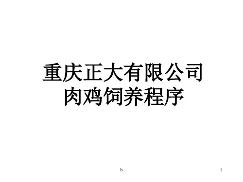 正大集团-肉鸡养殖程序