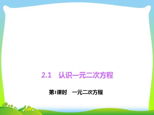 北师大版九年级数学上册《一元二次方程》优质课课件
