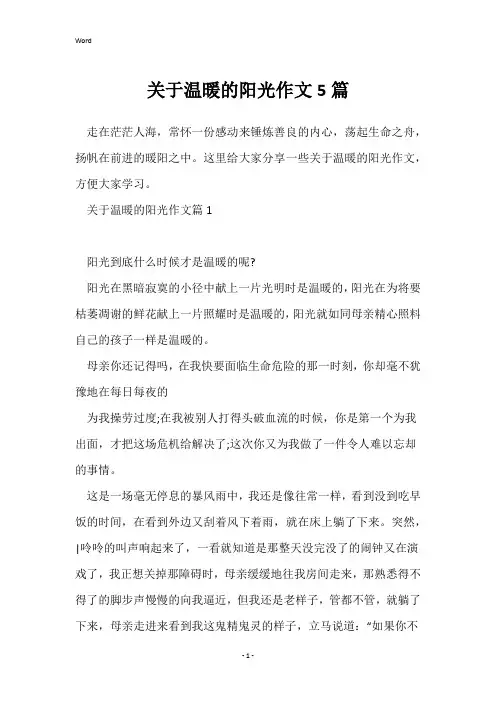 关于温暖的阳光作文5篇