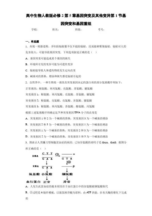 高中生物人教版必修2第5章基因突变及其他变异第1节基因突变和基因重组