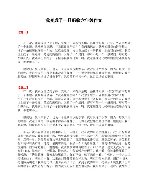 我变成了一只蚂蚁六年级作文