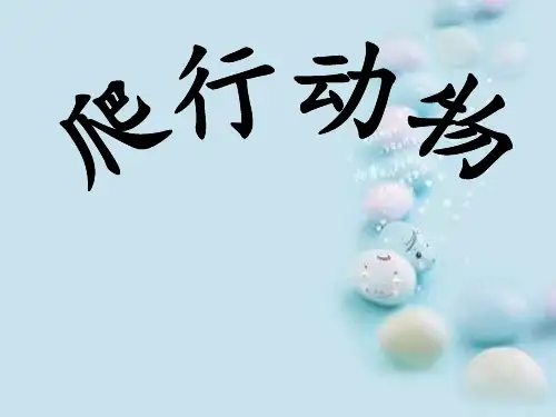 爬行动物 (3)