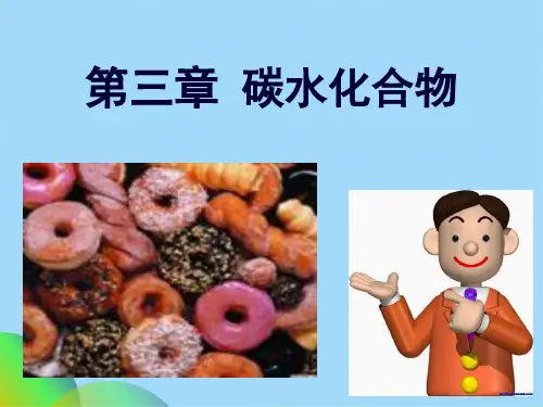 食品化学碳水化合物(共151张PPT)