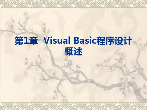 VisualBasic程序设计概述