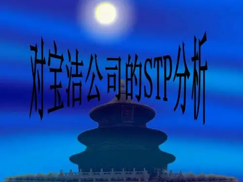 对宝洁的STP分析