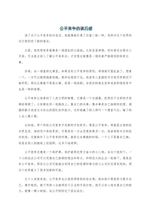 公平竞争的读后感