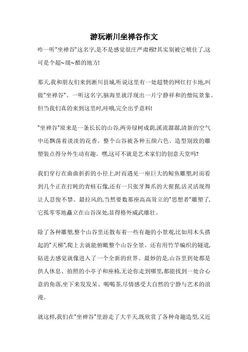 游玩淅川坐禅谷作文
