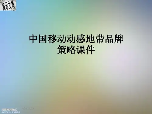 中国移动动感地带品牌策略课件