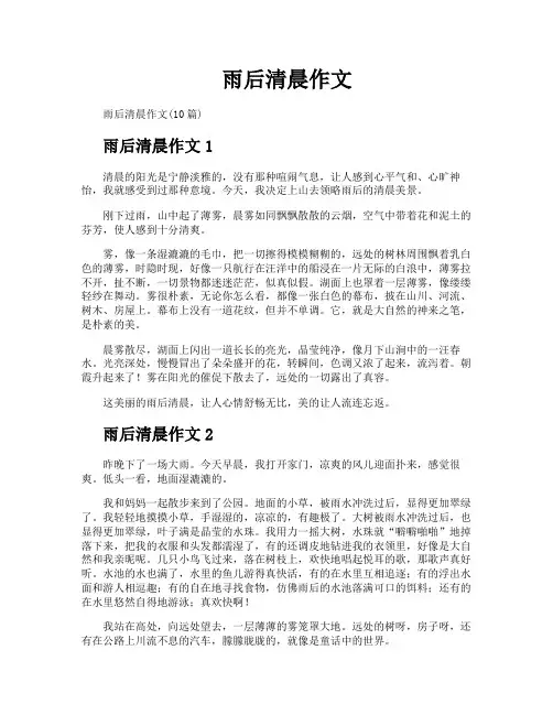 雨后清晨作文