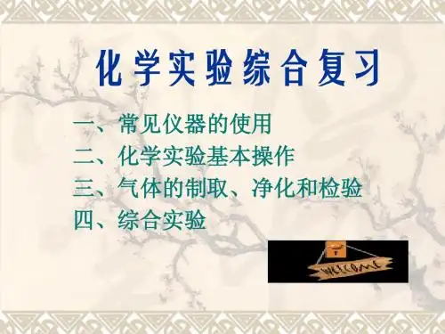 28中考化学实验专题复习