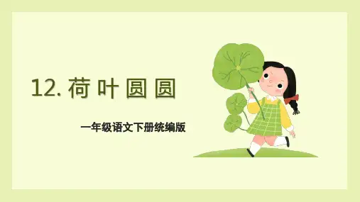 小学语文 一年级下册 课文12《荷叶圆圆》(教学课件)-(统编版)