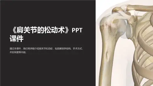 《肩关节的松动术》课件