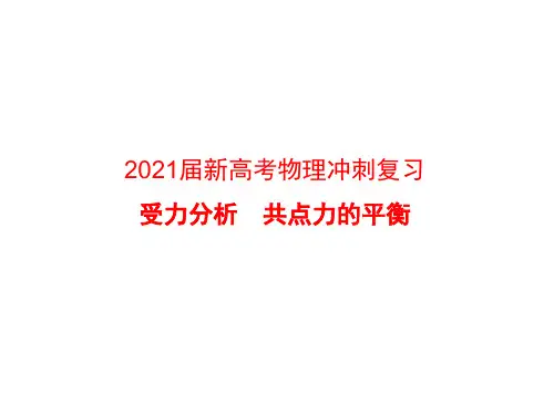 2021届新高考物理冲刺复习：受力分析 共点力的平衡