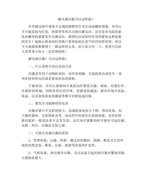 解决猪应激可以这样做!