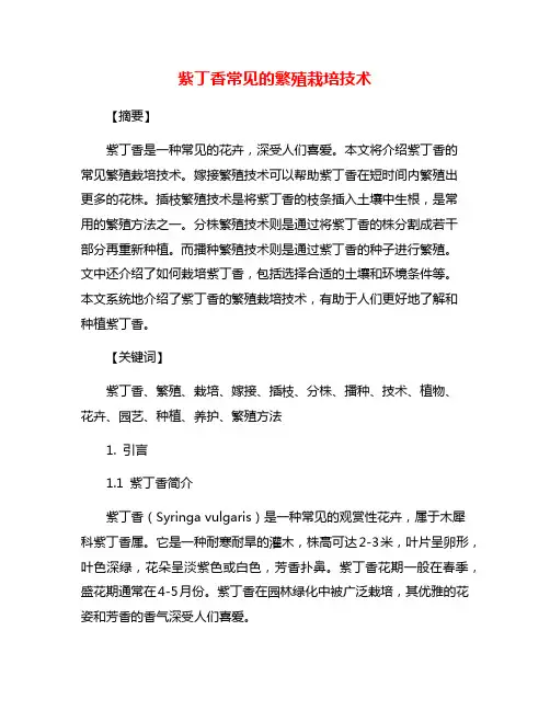 紫丁香常见的繁殖栽培技术