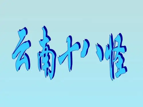 云南十八怪