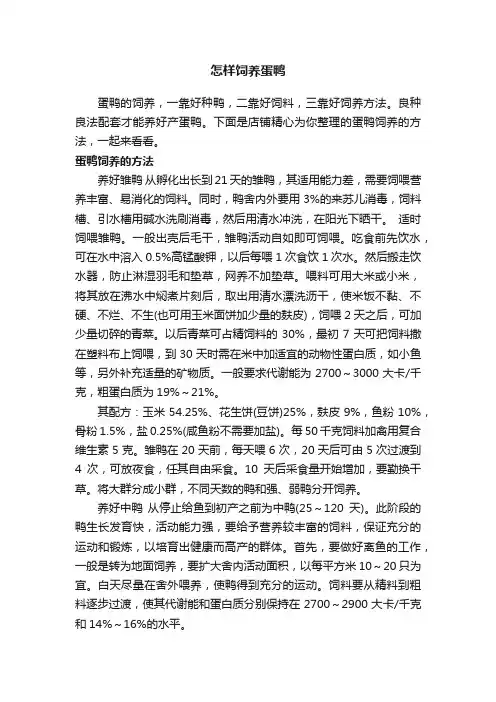 怎样饲养蛋鸭