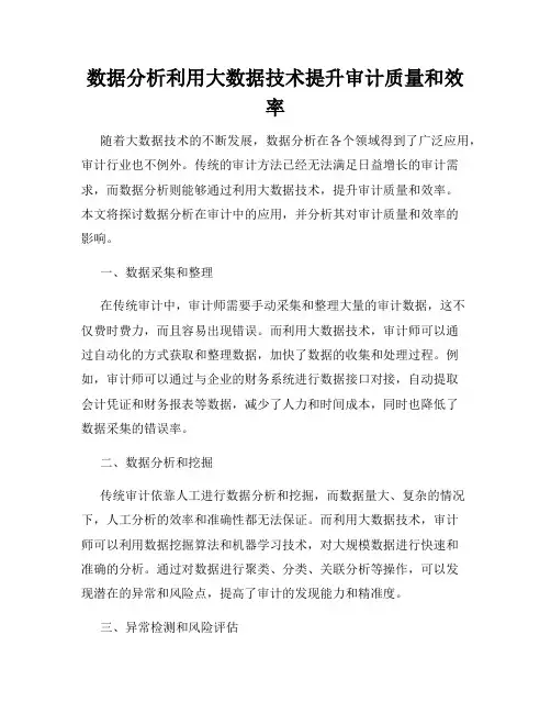 数据分析利用大数据技术提升审计质量和效率