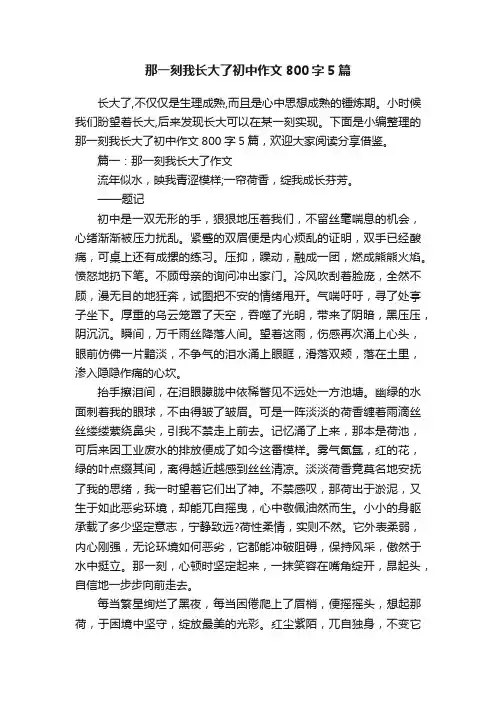 那一刻我长大了初中作文800字5篇