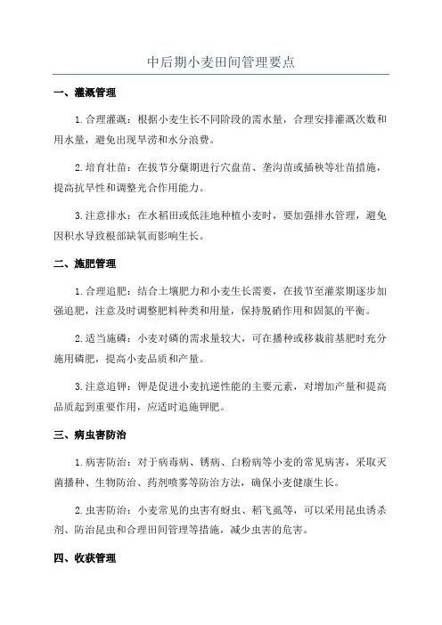 中后期小麦田间管理要点