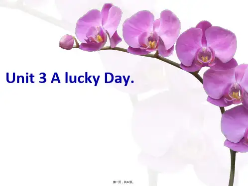 六年级下册英语课件-Unit 3 A lucky Day 2｜广东开心英语(共21张)