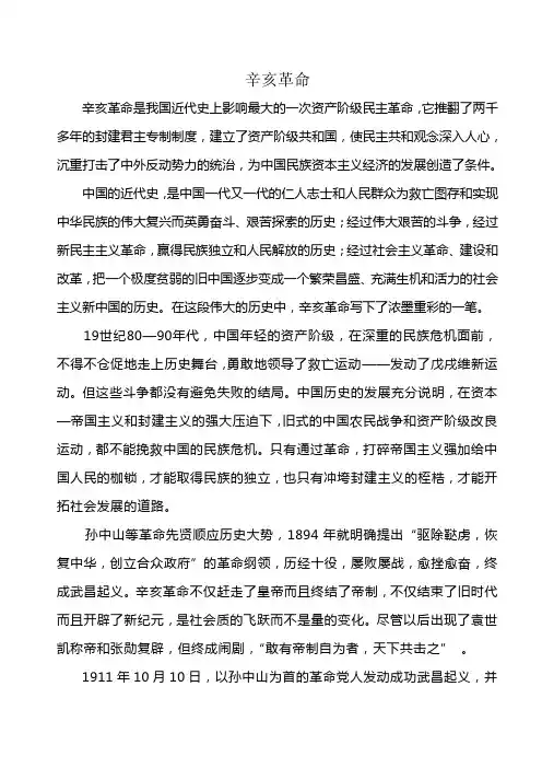辛亥革命论文