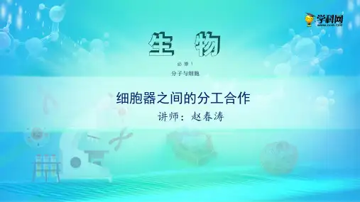 课件 3.2 细胞器之间的分工合作-高中生物必修1(新教材同步课件)(共27张PPT)(完美版课件)