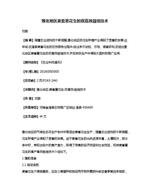 豫北地区麦套夏花生的双高效栽培技术