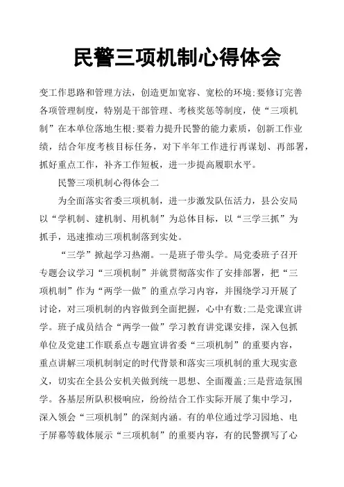 民警三项机制心得体会