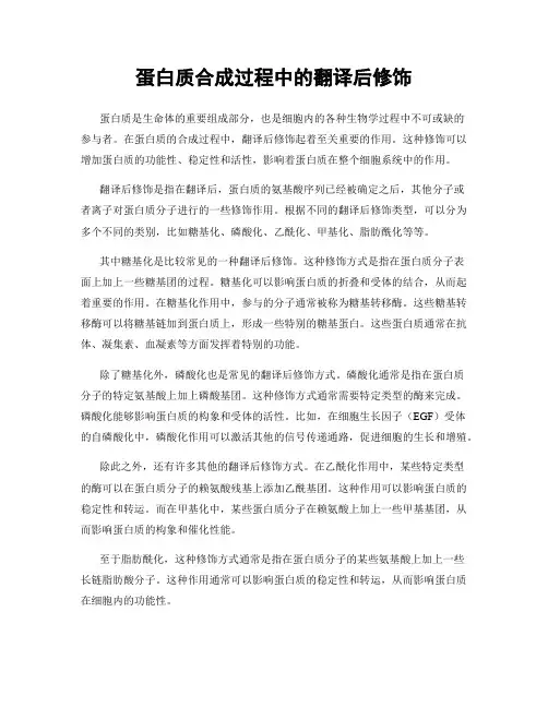 蛋白质合成过程中的翻译后修饰
