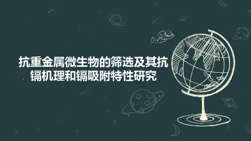 抗重金属微生物的筛选及其抗镉机理和镉吸附特性研究