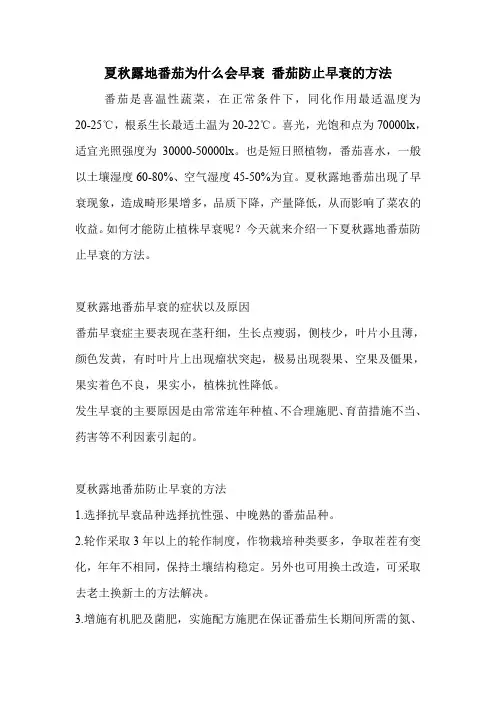 夏秋露地番茄为什么会早衰 番茄防止早衰的方法.doc