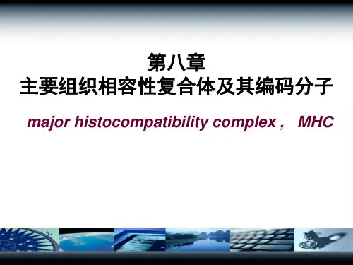 医学免疫学：第八章 主要组织相容性复合体及其编码分子