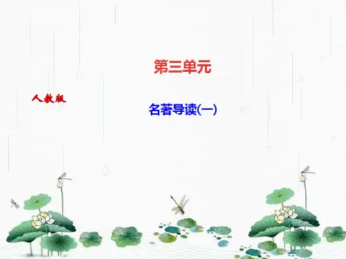 最新人教部编版九年级语文下册：名著导读(一) (共11张PPT)