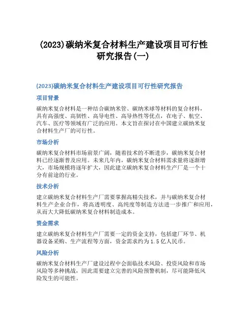 (2023)碳纳米复合材料生产建设项目可行性研究报告(一)