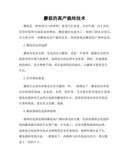 蘑菇的高产栽培技术