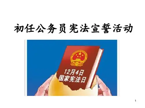 初任公务员宪法宣誓活动ppt课件