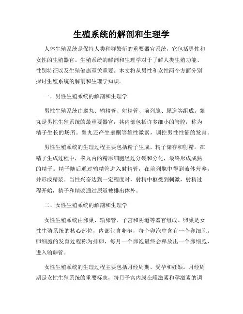生殖系统的解剖和生理学