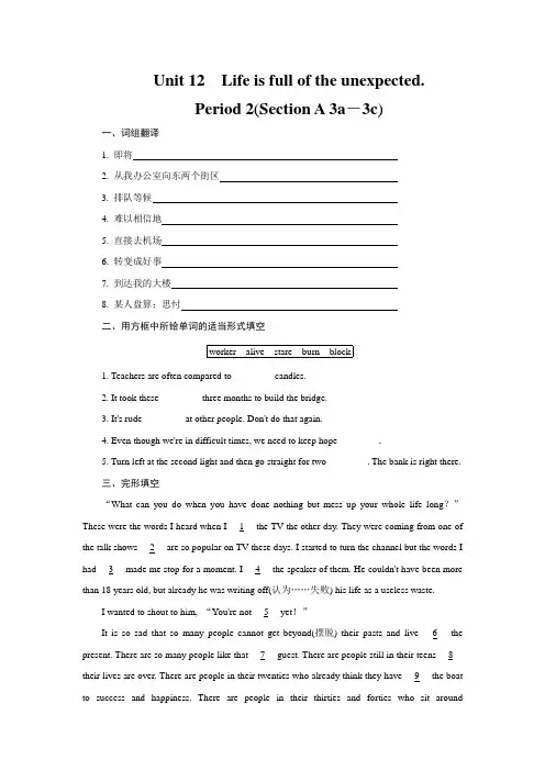 Unit12 Section A 3a-3c同步练习2021-2022学年人教版英语九年级全一册