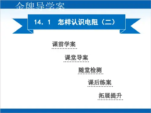  怎样认识电阻(二)沪粤版九级物理上册同步精品PPT