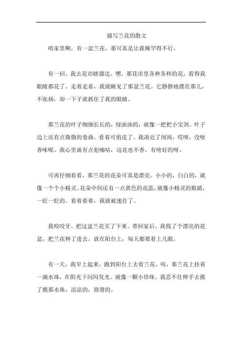 描写兰花的散文