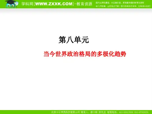 2011年高考总复习历史(课标人教版)一轮复习(同步教学课件)第8单元 当今世界政治格局的多极化趋势