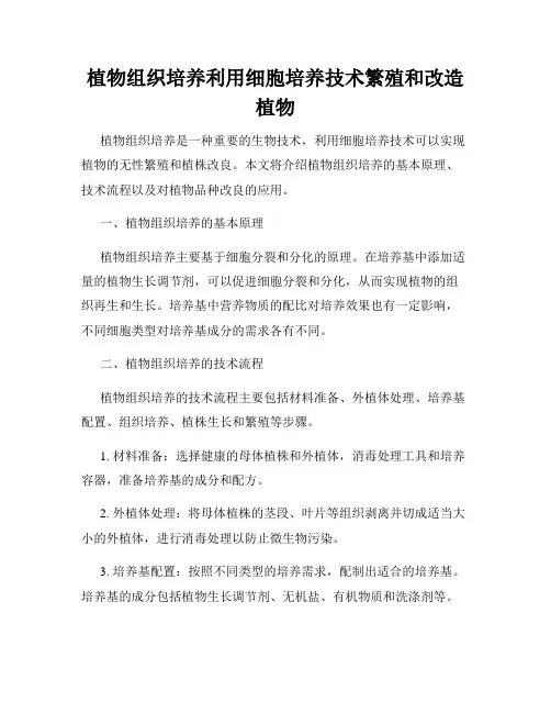植物组织培养利用细胞培养技术繁殖和改造植物