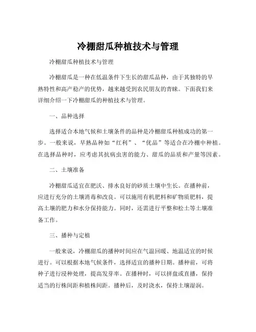 冷棚甜瓜种植技术与管理