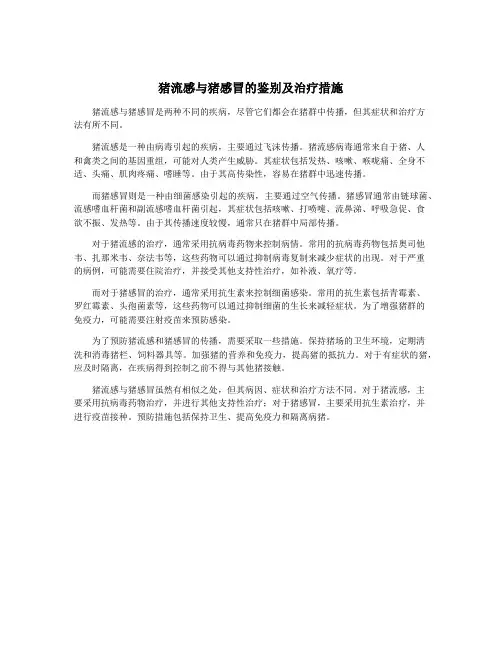 猪流感与猪感冒的鉴别及治疗措施