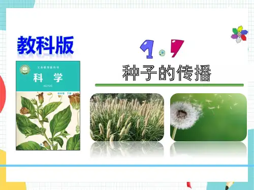 教科版四年级下册科学1.7《种子的传播》课件