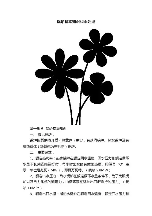 锅炉基本知识和水处理