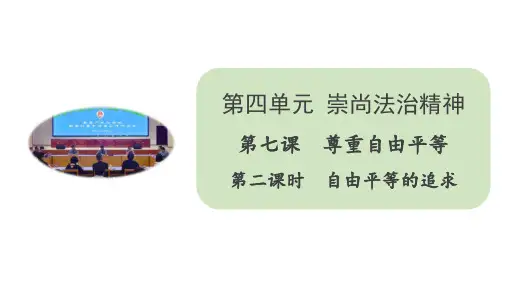 人教部编版八年级道德与法治下册课件 7.2 自由平等的追求