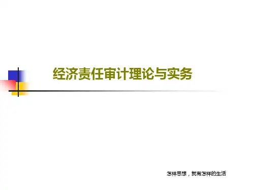 经济责任审计理论与实务143页PPT