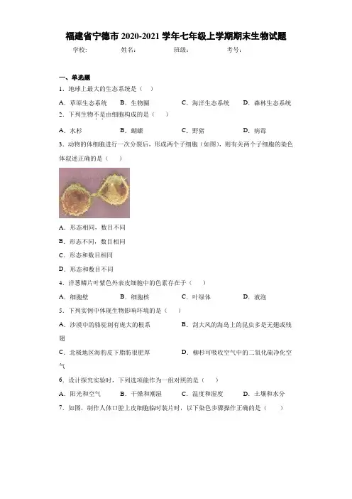 福建省宁德市2020-2021学年七年级上学期期末生物试题